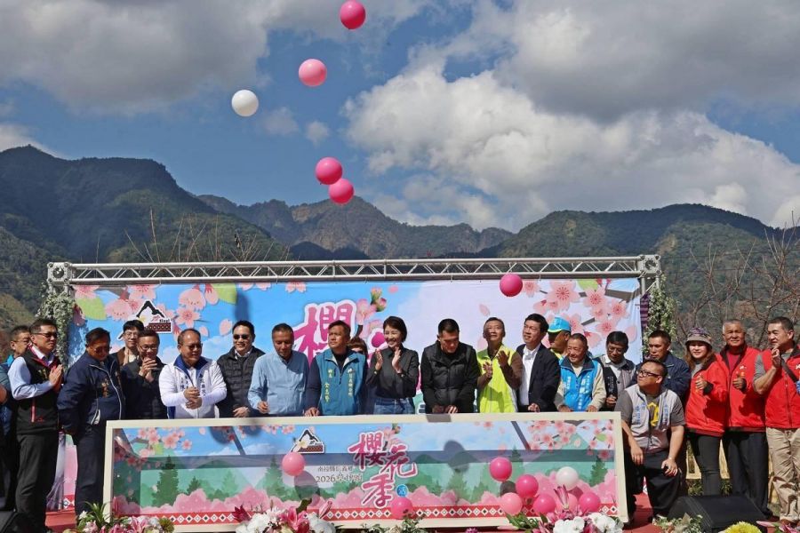 最美茶鄉櫻花季登場 信義草坪頭4,000棵櫻花迎賓