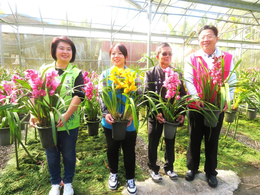 金馬迎春旺全年　魚池虎頭蘭賀新年