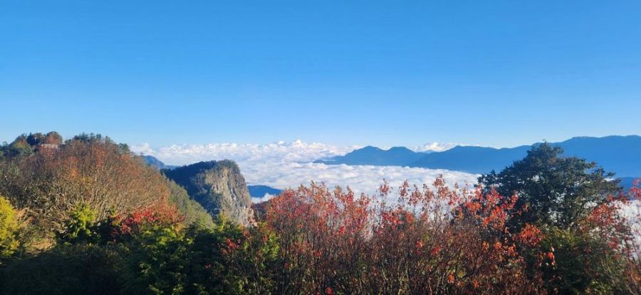 阿里山藝術、鰲鼓手作、高鐵聯票優惠  春遊嘉義最「馬」吉