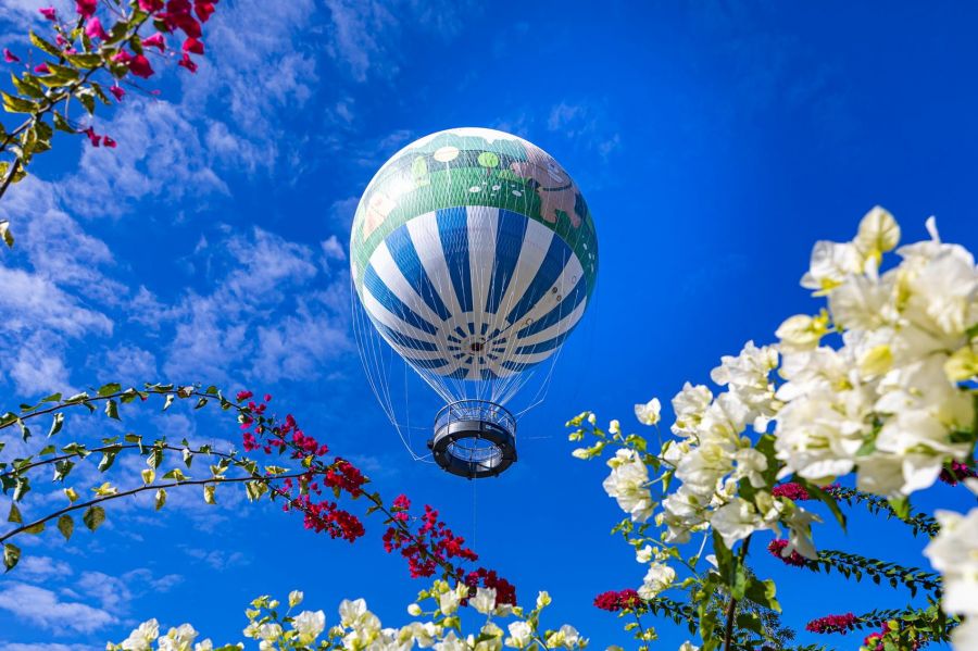 九九峰氦氣球樂園2/11啟用　將開放全國民眾預約