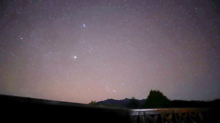 阿里山國家森林遊樂區「春光星旅」璀璨啟程