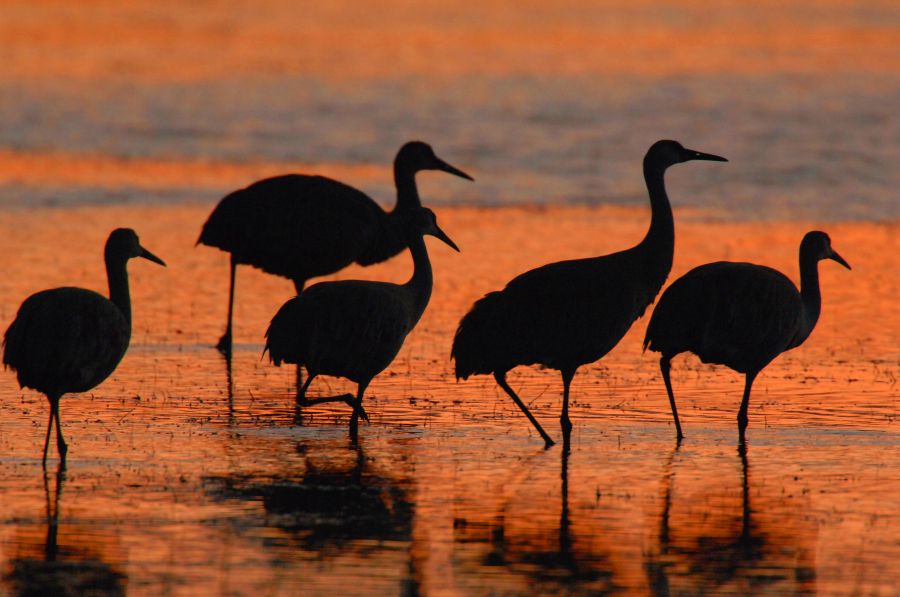 從看風景到被自然看見　亞利桑那顛覆旅行想像