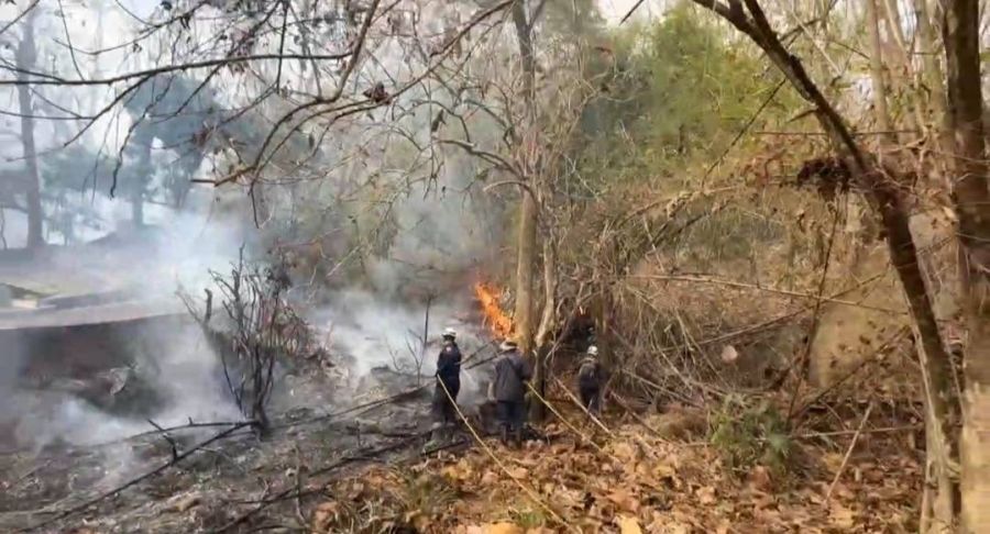 高雄美濃區美興街第四公墓火警　警消人員搶救中