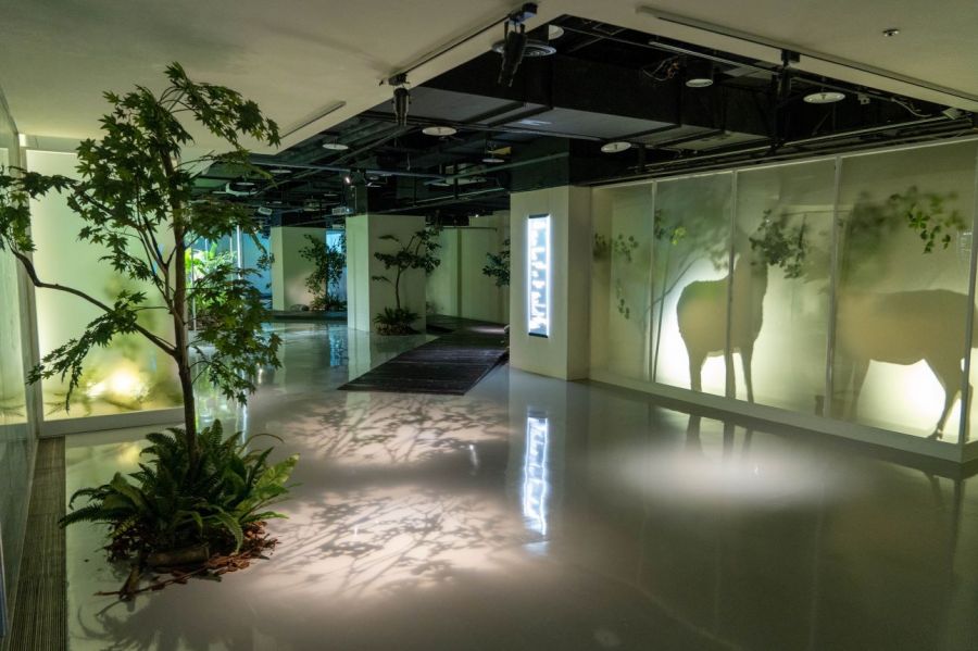 世界宗教博物館榮獲美國繆思創意獎　靈性生態理念閃耀國際