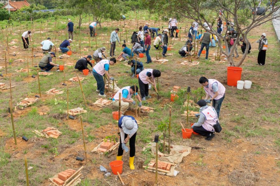 台61線通霄新埔段推動　裕見幸福公路種下希望森林生態樹島