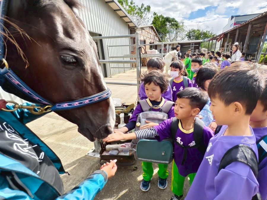 馬術文化展5/22桃園登場　親子近距離認識馬術文化