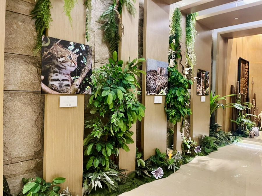 響應世界環境日！日月潭雲品攜手林保署、生多所推出特展