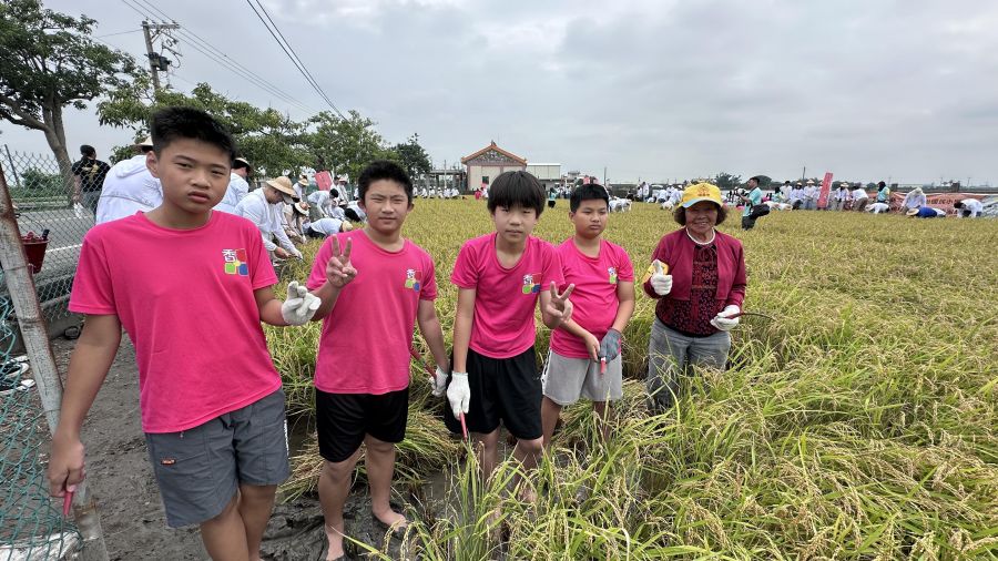 畢業前最珍貴的一堂課　香田國小畢業生體驗稻米收割